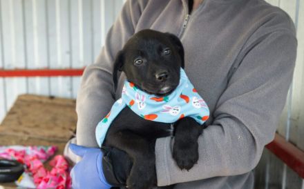 Einfach zum Anbeißen: Cupcake!
