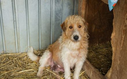 Runa berührt durch ihre sanfte und stille Art