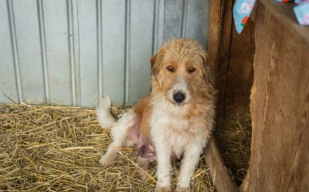 Runa berührt durch ihre sanfte und stille Art