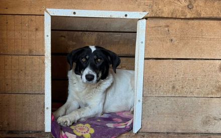 Aufgeschlossene Fay sucht eine Familie