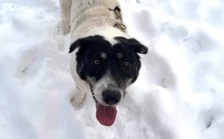 Aufgeschlossene Fay sucht eine Familie