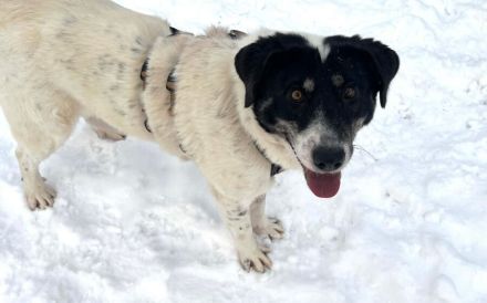 Aufgeschlossene Fay sucht eine Familie