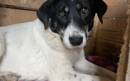 Aufgeschlossene Fay sucht eine Familie