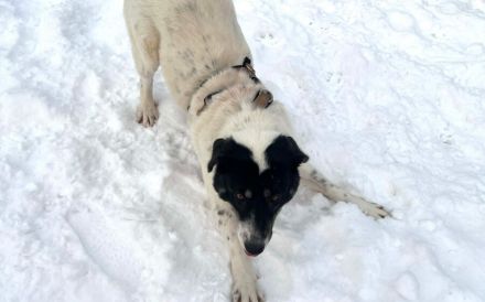 Aufgeschlossene Fay sucht eine Familie