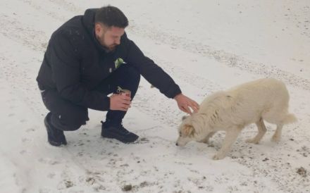 Bezaubernde Lila sucht geduldige Zuhause