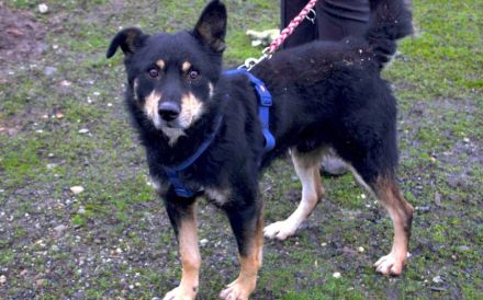 Sportlicher Joko sucht aktive Familie