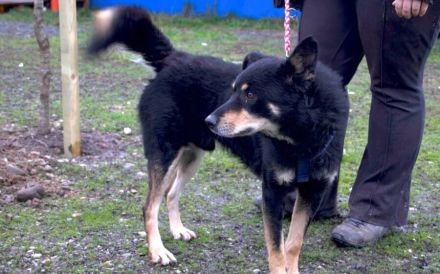 Sportlicher Joko sucht aktive Familie