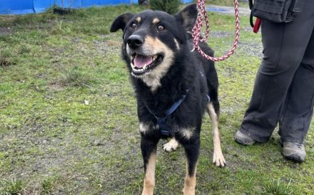 Sportlicher Joko sucht aktive Familie