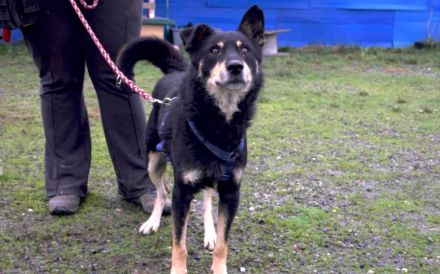 Sportlicher Joko sucht aktive Familie