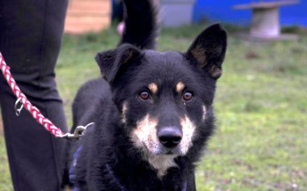 Sportlicher Joko sucht aktive Familie