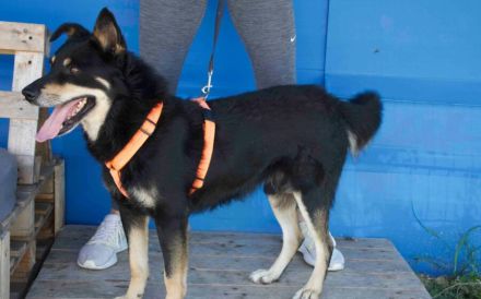 Sportlicher Joko sucht aktive Familie