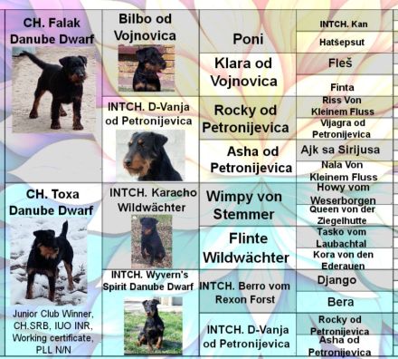 Danube Dwarf kennel