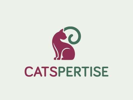 Katzenverhaltensberatung & Katzentraining