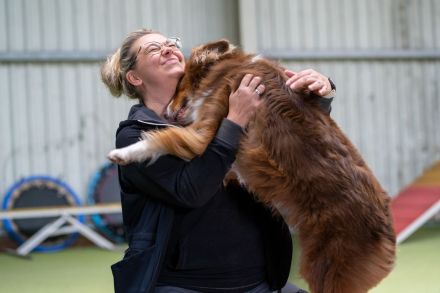 Pfotenverliebt-Hundebetreuung