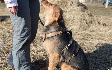 Nova - ein Name wie ein Versprechen