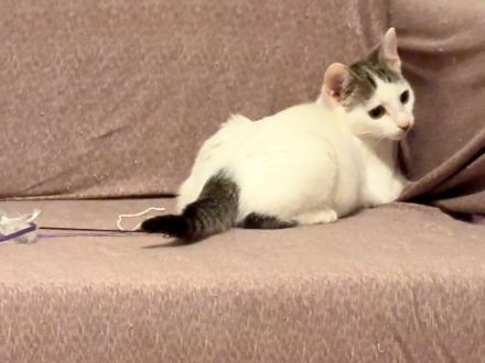 Noemie: Neugierig auf die Welt und auf Dich!