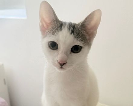 Noemie: Neugierig auf die Welt und auf Dich!