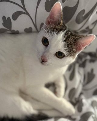 Noemie: Neugierig auf die Welt und auf Dich!