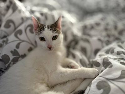 Noemie: Neugierig auf die Welt und auf Dich!