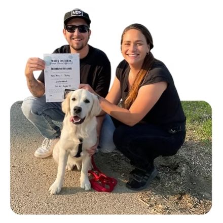 Junghundekurs Kreis Göppingen, Esslingen & Kirchheim/Teck - Wolf's Instinkte - Deine Hundeschule