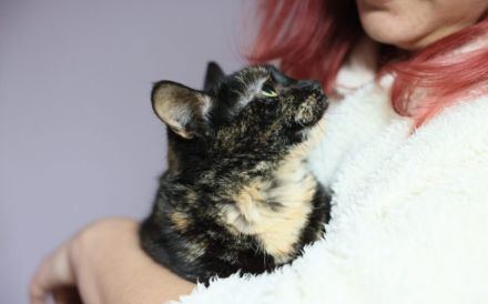 Gemütliche Lottie sucht entspanntes Zuhause