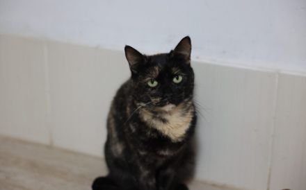 Gemütliche Lottie sucht entspanntes Zuhause