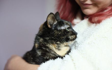 Gemütliche Lottie sucht entspanntes Zuhause
