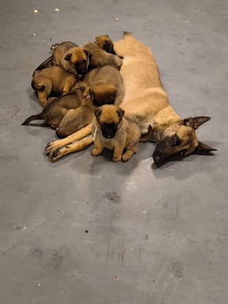 auf der Suche nach einer liebevollen Familie