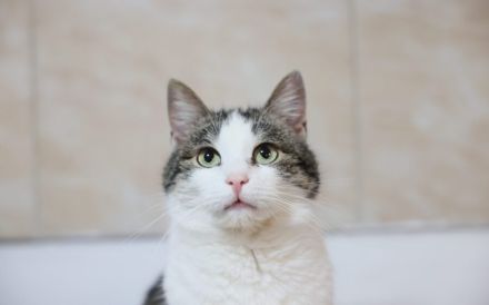 Leni sucht endlich ein neues Zuhause voller Liebe