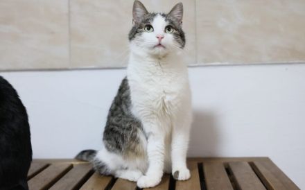 Leni sucht endlich ein neues Zuhause voller Liebe