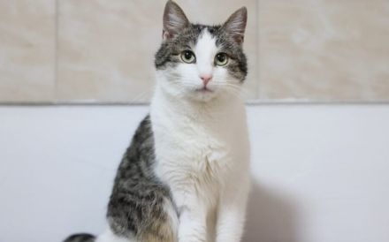 Leni sucht endlich ein neues Zuhause voller Liebe