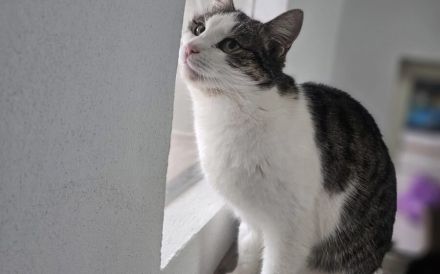 Leni sucht endlich ein neues Zuhause voller Liebe