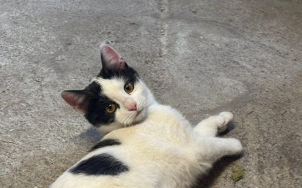 Sanfte Seele sucht stilles Glück: Carla möchte endlich ankommen.