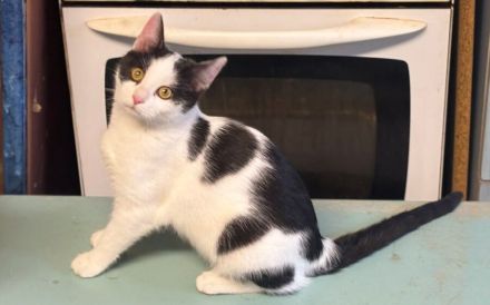 Sanfte Seele sucht stilles Glück: Carla möchte endlich ankommen.