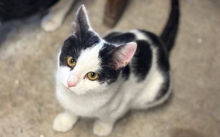 Sanfte Seele sucht stilles Glück: Carla möchte endlich ankommen.