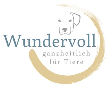 Wundervoll - Thomas Lehnicke