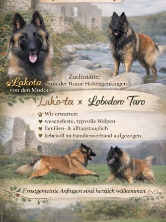 Von der Ruine Hohengenkingen