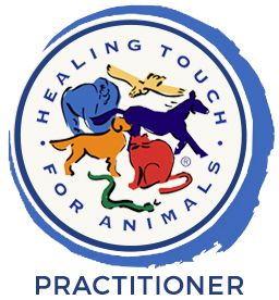 Seminar zum Healing Touch for Animals®-Anwender