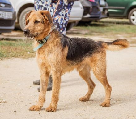Roland, ein schlaues Bürschchen und sehr aktiv