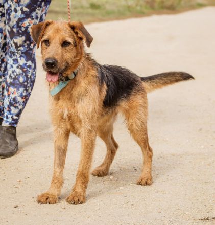 Roland, ein schlaues Bürschchen und sehr aktiv