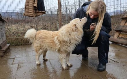 Sanfter Flauschbär Sammy sucht gemütliches Zuhause