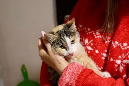 Geduld gesucht, Liebe gefunden: Das ist Mari