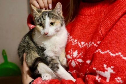 Geduld gesucht, Liebe gefunden: Das ist Mari