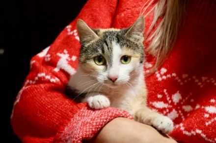 Geduld gesucht, Liebe gefunden: Das ist Mari