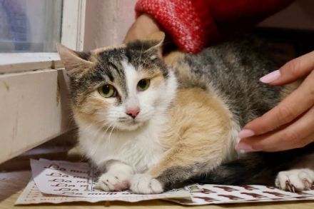 Geduld gesucht, Liebe gefunden: Das ist Mari