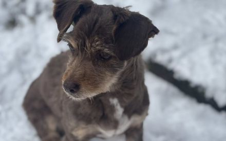 Freundliche Seele Nela möchte noch viel erleben