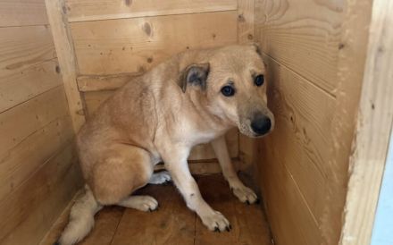 Wer schenkt Maria ein Leben in Freiheit?