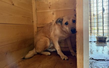 Wer schenkt Maria ein Leben in Freiheit?