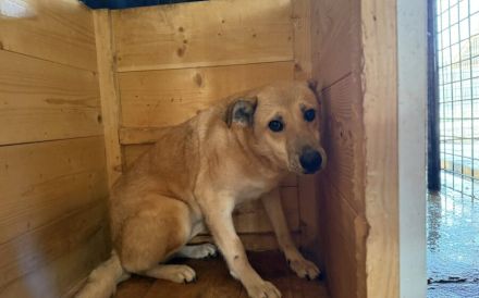 Wer schenkt Maria ein Leben in Freiheit?