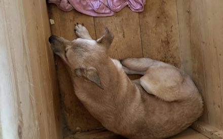 Wer schenkt Maria ein Leben in Freiheit?